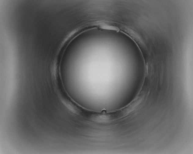 X0000113890156200909241424