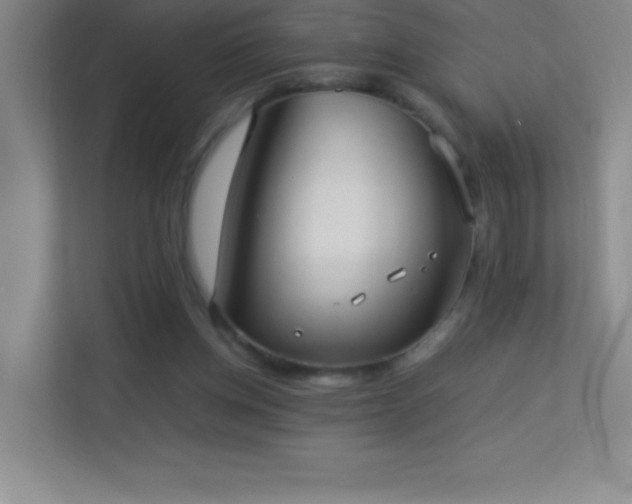 X0000113890158200909241424