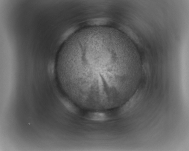 X0000113890159200909241424