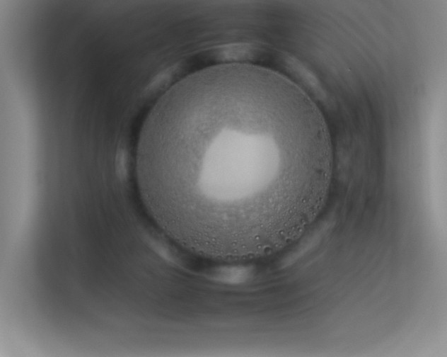X0000113890161200909241424