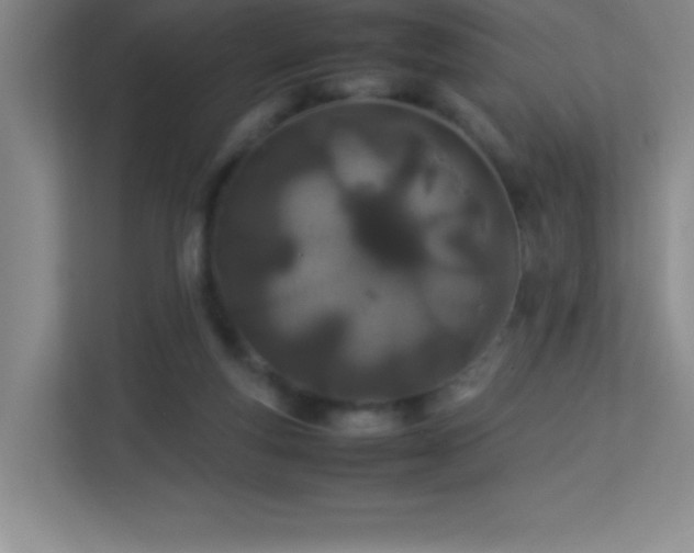 X0000113890163200909241424