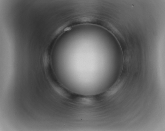 X0000113890164200909241424