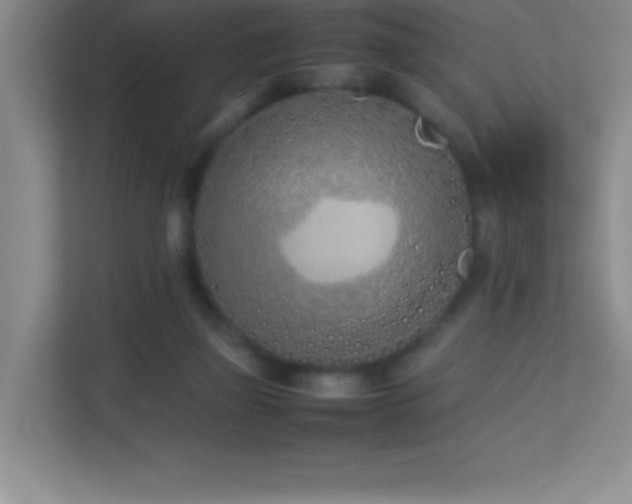 X0000113890165200909241424