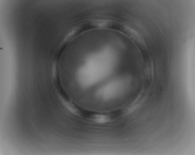 X0000113890167200909241424