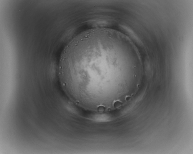 X0000113890169200909241424