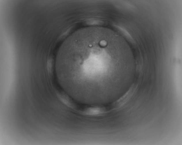 X0000113890171200909241424
