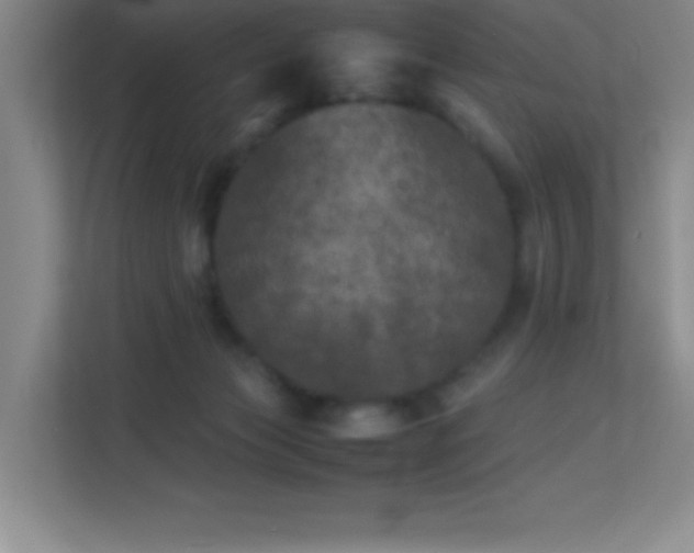 X0000113890173200909241424