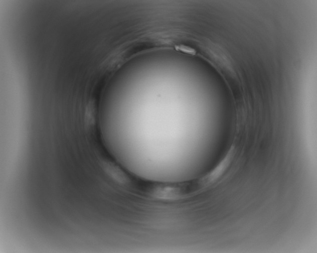 X0000113890174200909241424