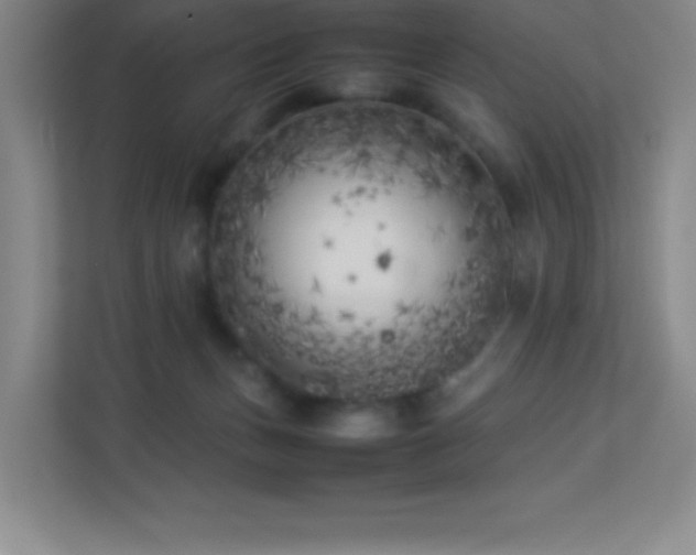 X0000113890175200909241424
