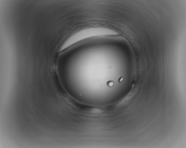 X0000113890176200909241424