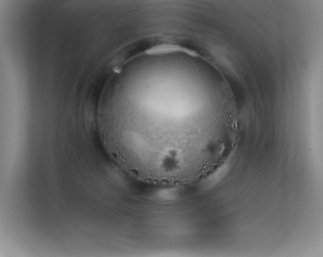 X0000113890178200909241424