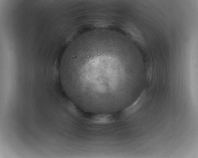 X0000113890179200909241424