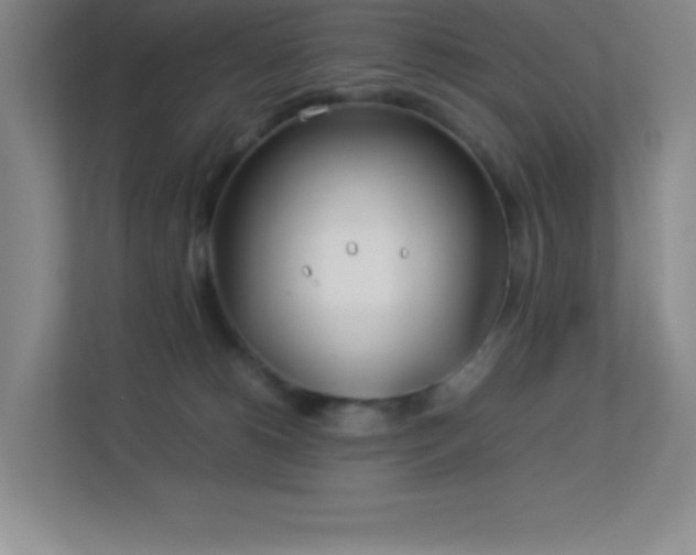 X0000113890180200909241424