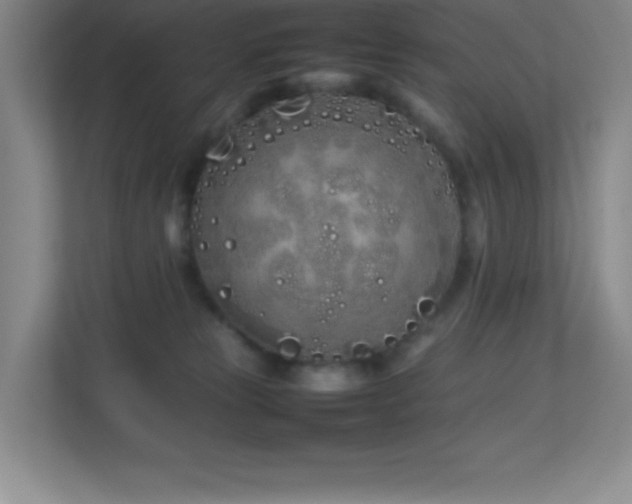 X0000113890181200909241424