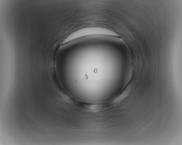 X0000113890184200909241424