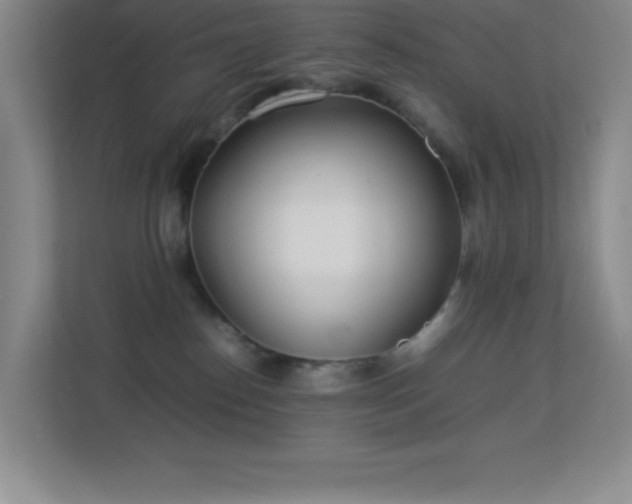 X0000113890186200909241425