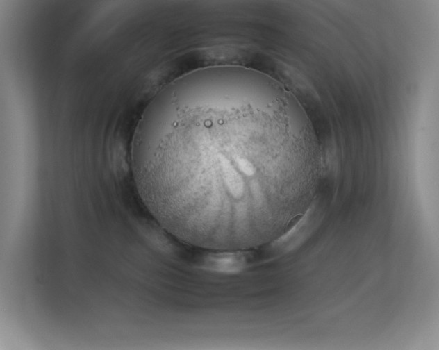 X0000113890187200909241425
