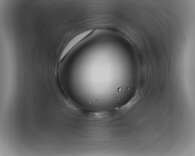 X0000113890188200909241425