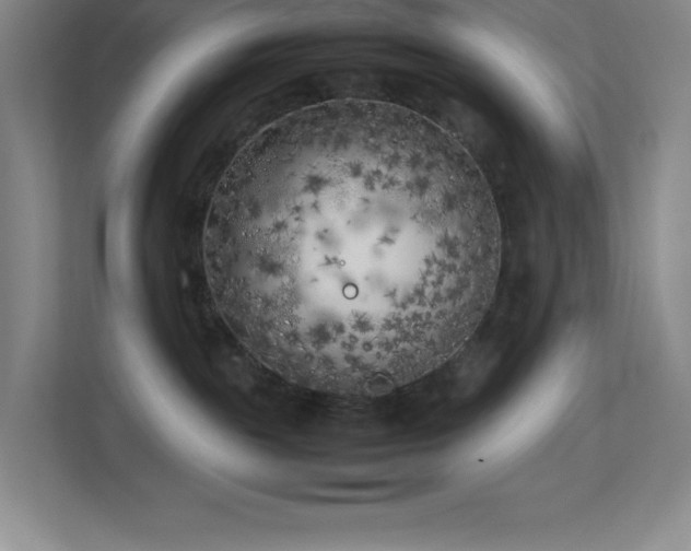 X0000113890189200909241425