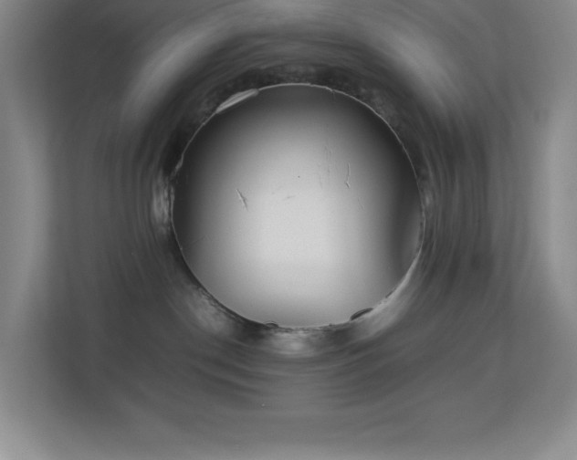 X0000113890190200909241425