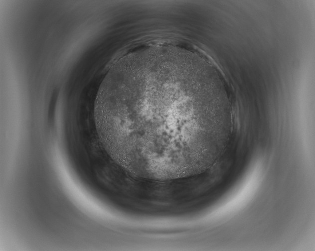X0000113890191200909241425