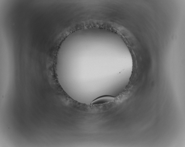 X0000113890192200909241425