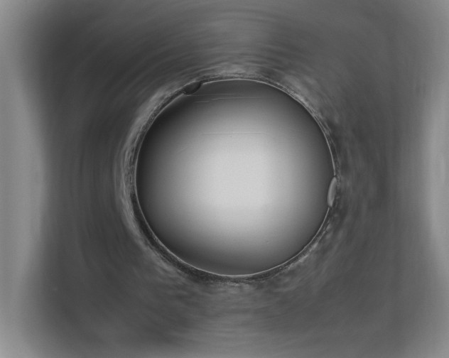 X0000113890193200909241424