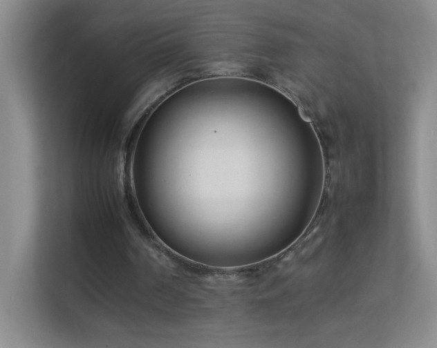 X0000113890194200909241424