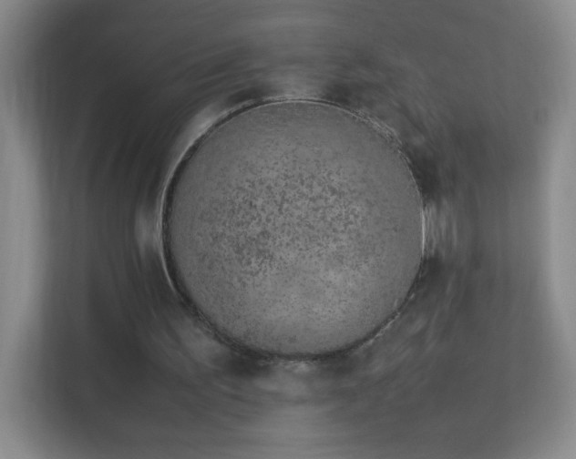 X0000113890195200909241424