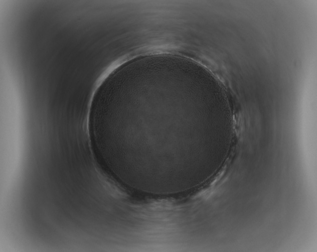 X0000113890196200909241424