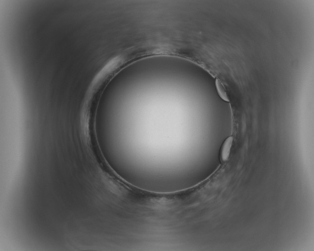 X0000113890197200909241424