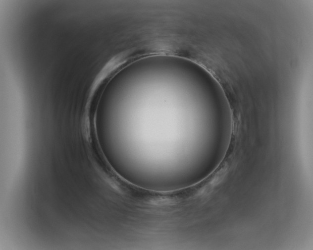 X0000113890198200909241424