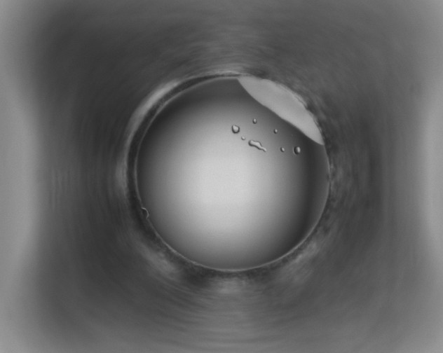 X0000113890200200909241424