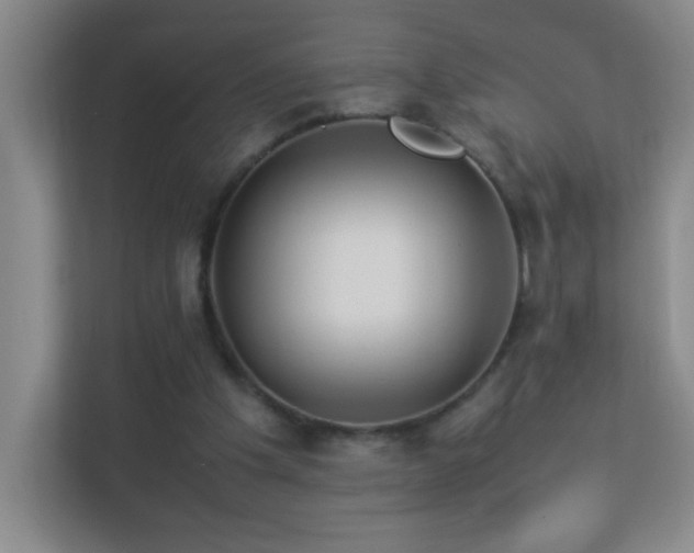 X0000113890201200909241424