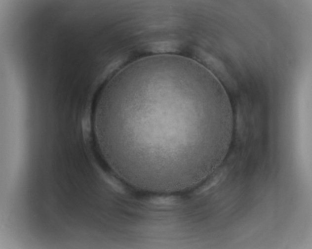 X0000113890202200909241424