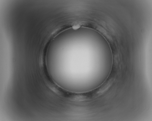 X0000113890203200909241424