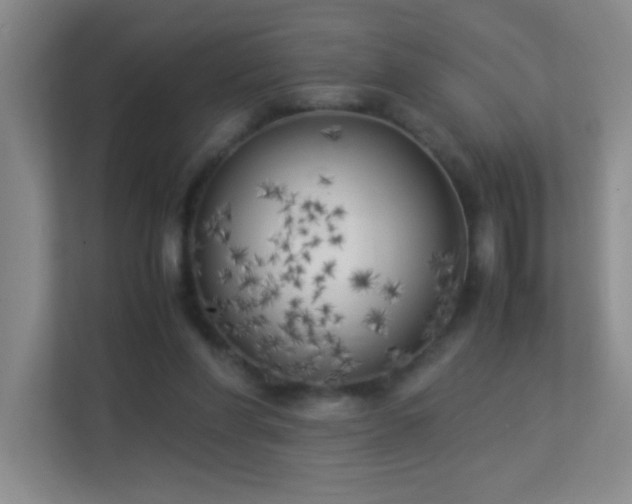 X0000113890206200909241424