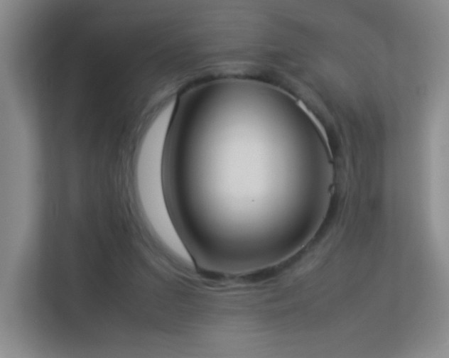 X0000113890207200909241424