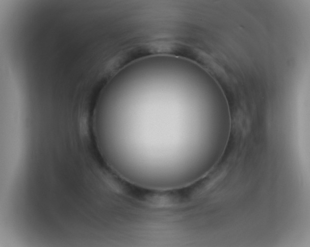 X0000113890209200909241424