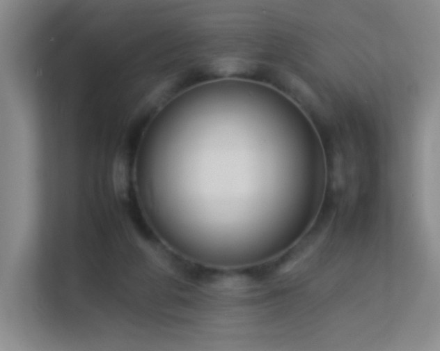 X0000113890210200909241424