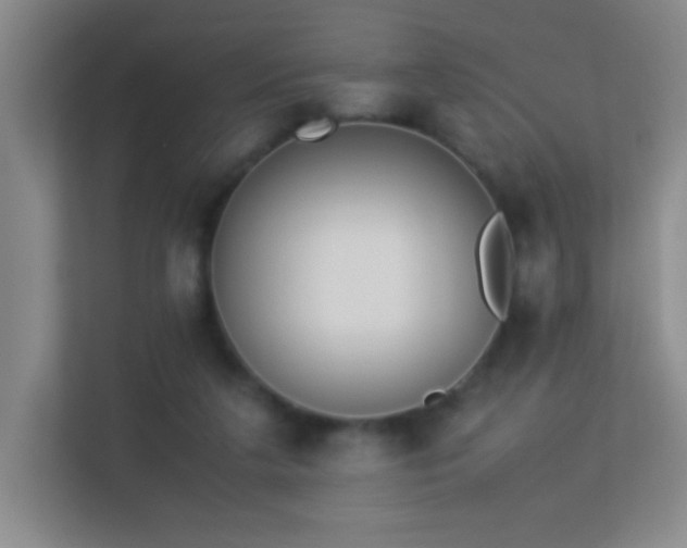 X0000113890211200909241424