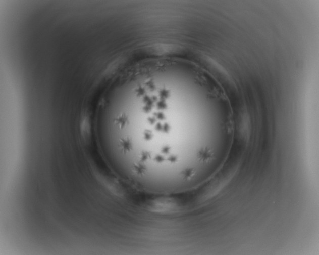 X0000113890214200909241424