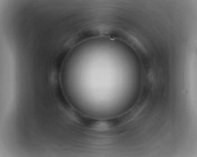 X0000113890218200909241424