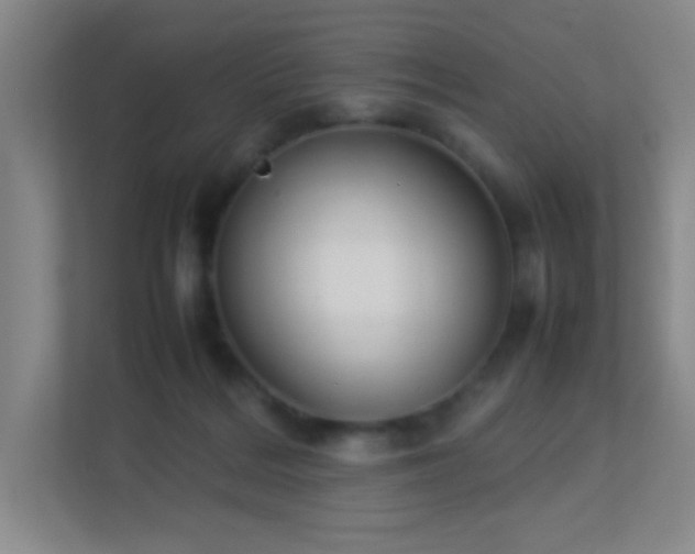 X0000113890220200909241424