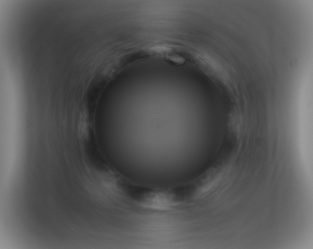 X0000113890223200909241424