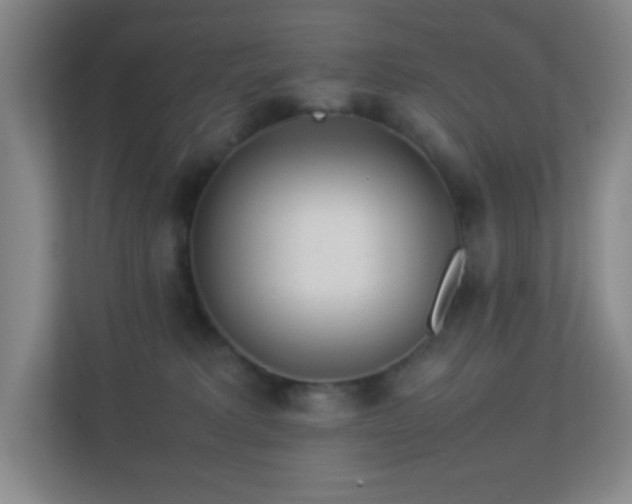 X0000113890229200909241424