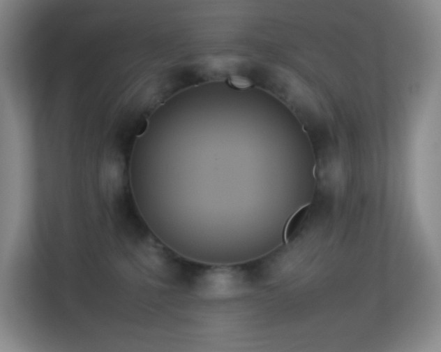 X0000113890231200909241423