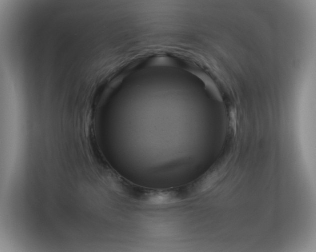 X0000113890235200909241423