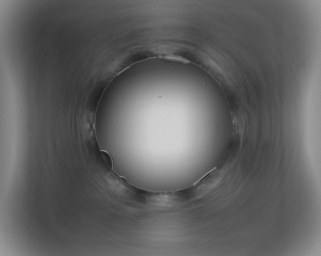 X0000113890237200909241423