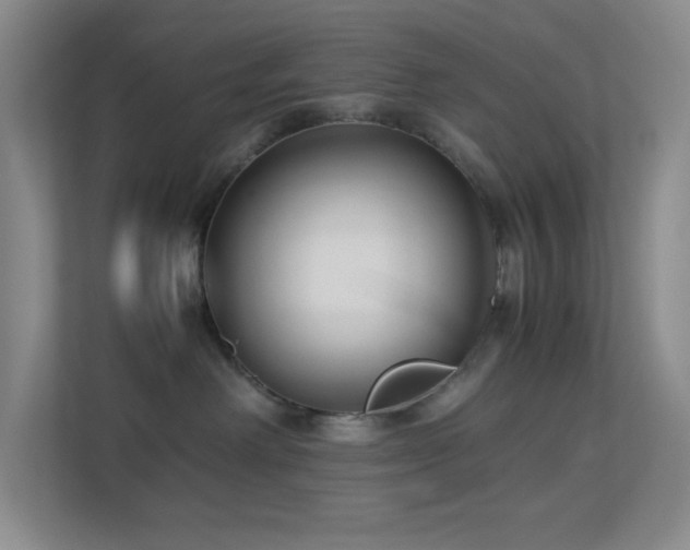 X0000113890238200909241423